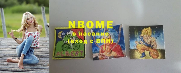 МДПВ Каменка