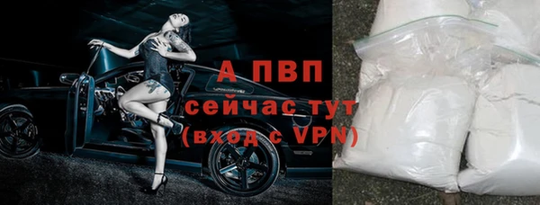 МДПВ Каменка