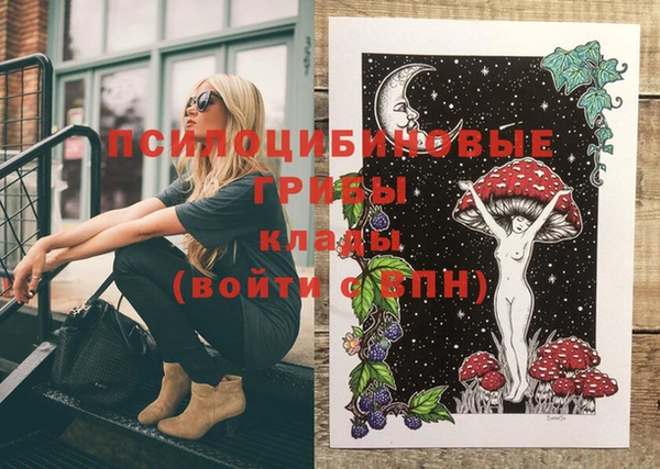 МДПВ Каменка