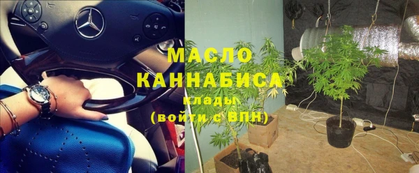 МДПВ Каменка