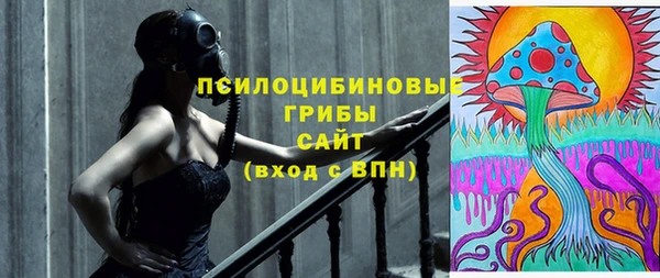 трава Березники