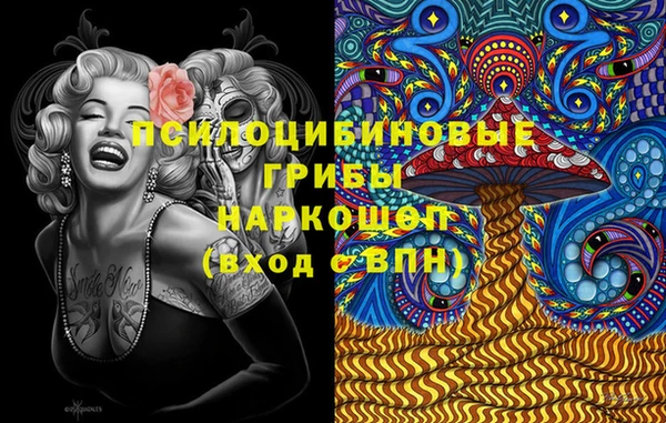 2c-b Каменногорск