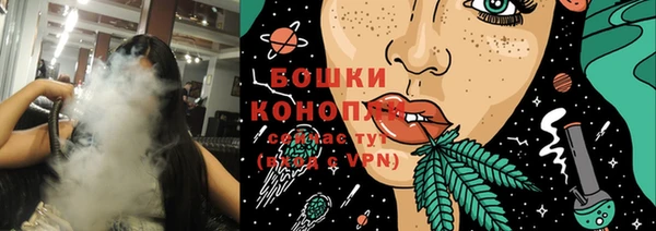МДПВ Каменка