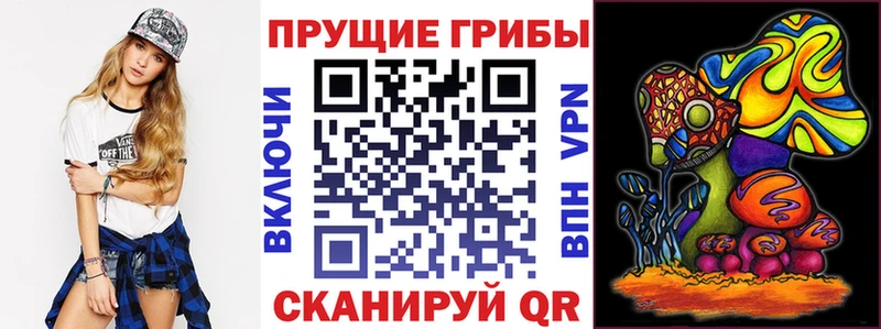 Галлюциногенные грибы Magic Shrooms  Купить  Новосокольники 