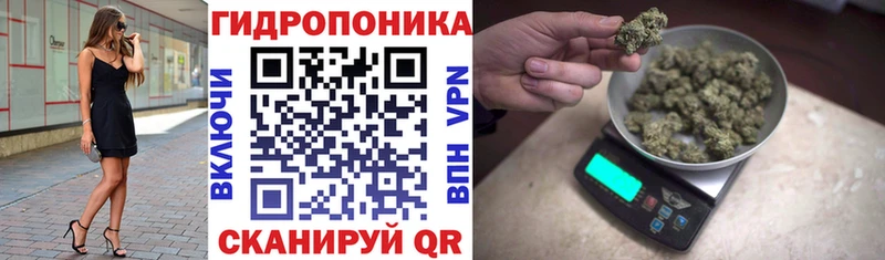 Канабис Amnesia  Купить где  Новосокольники 